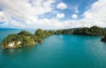 Best Samana Sightseeing Tours & Excursions!